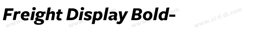Freight Display Bold字体转换